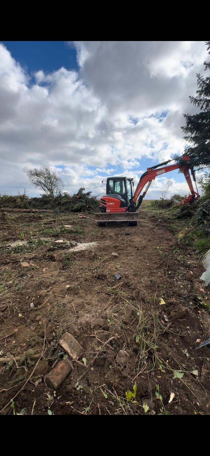 Forstarbeiten und Baumfällungen