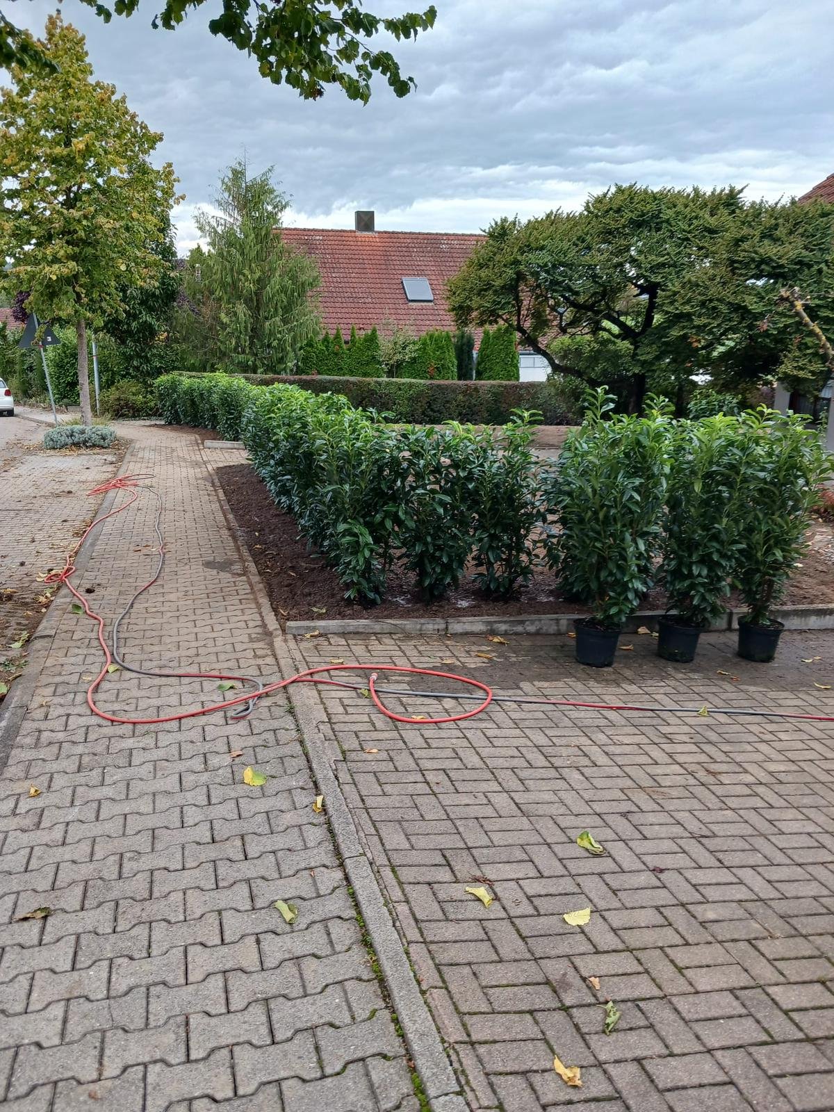 Gartenpflege
