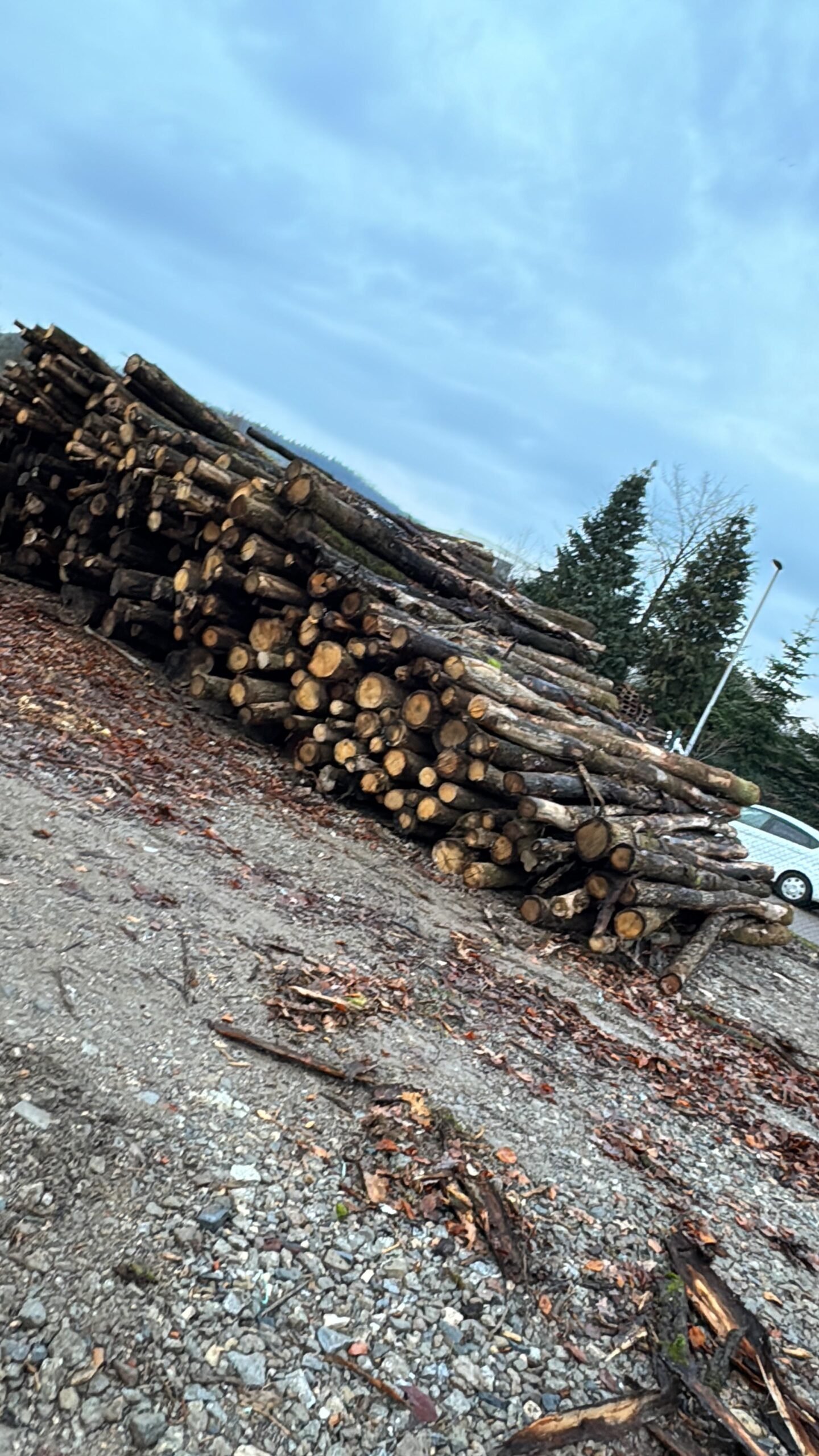 brennholzlager-holzstapel-brackenheim Brennholzlager mit gestapeltem Kaminholz in Brackenheim