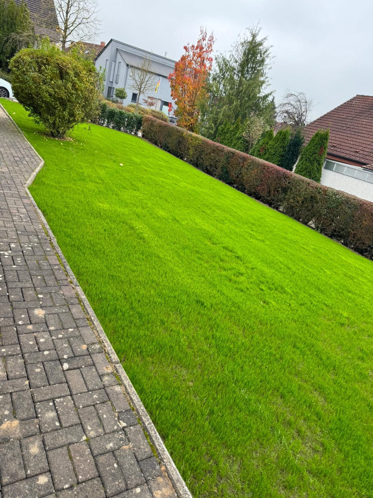 Neue Gartenanlage mit Rollrasen im Zabergäu
