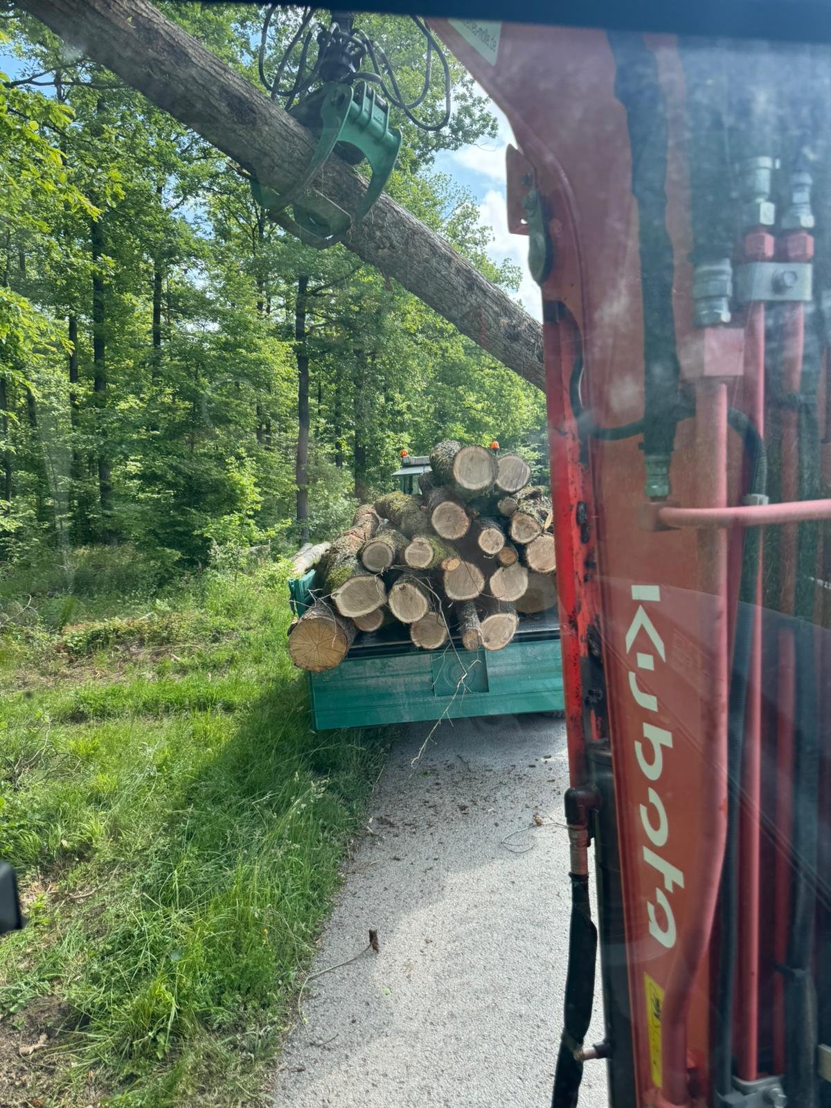 Holzrücken bei Forstarbeiten – Molle GalaBau Brackenheim