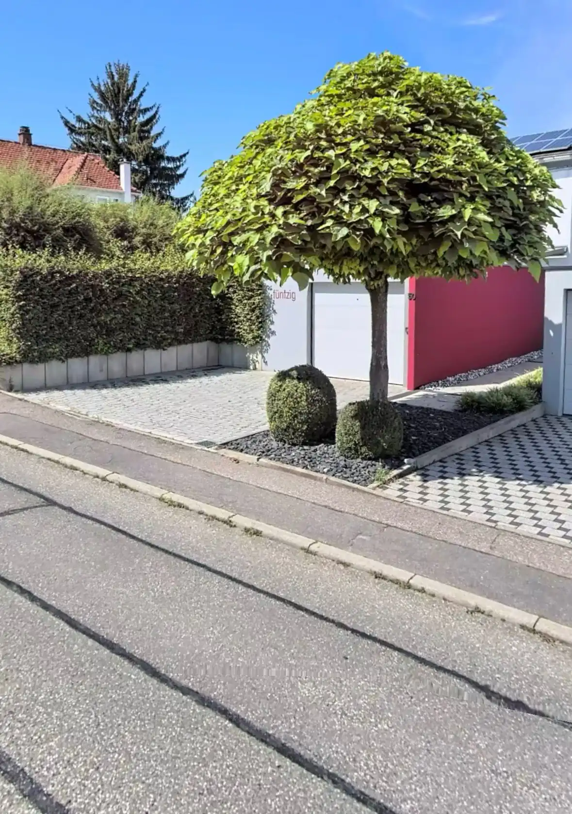 Vorher-Ansicht einer Einfahrt in Brackenheim mit einem Trompetenbaum, Beetflächen und altem Pflaster vor der Sanierung durch Molle GaLaBau.