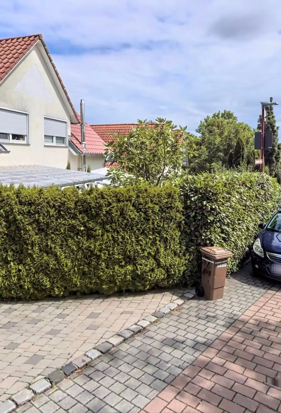 Vorher-Ansicht eines Gartens in Brackenheim mit altem Heckenbestand und ungepflegter Grünfläche vor der Umgestaltung durch Molle GaLaBau.