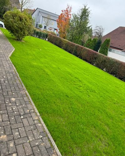 Neue Gartenanlage mit Rollrasen im Zabergäu