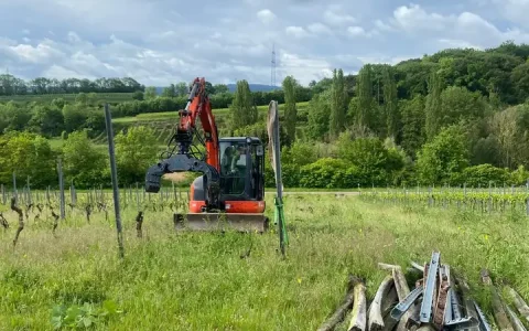 Ein orangefarbener Minibagger zieht alte Weinbergpfähle heraus während einer Weinbergrodung im Landkreis Heilbronn.