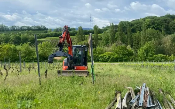 Ein orangefarbener Minibagger zieht alte Weinbergpfähle heraus während einer Weinbergrodung im Landkreis Heilbronn.
